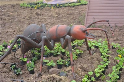 Animatronic Ant
