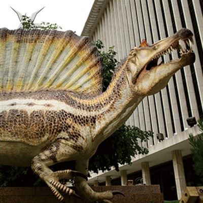 Animatronic Cretaceous Irritator