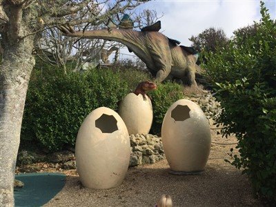 Dinosaur Egg for Taking Picture