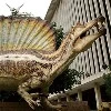 Realistic Animatronic Spinosaurus